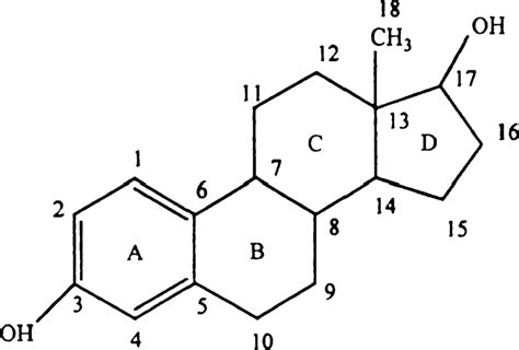 Chemical structure of estradiol | Download Scientific Diagram