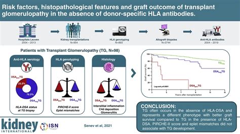 Graphical abstract in Elsevier journals