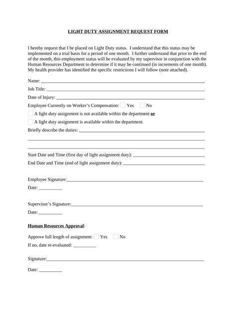 Light duty job description template: Fill out & sign online | DocHub