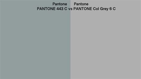 Pantone 443 C vs PANTONE Col Grey 6 C side by side comparison