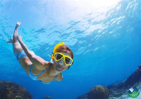 Cano Island Snorkeling in Drake Bay, Costa Rica - One of the best!