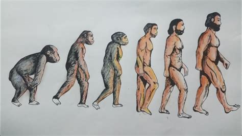 Aggregate 59+ human evolution drawing latest - xkldase.edu.vn