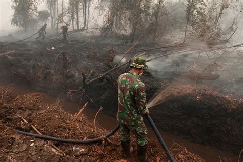 Peatland on fire as burning season starts anew in Indonesia | News | Eco-Business | Asia Pacific