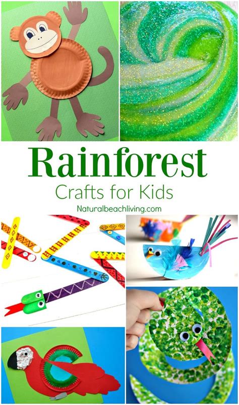 10+ Amazing Rainforest Crafts Kids Can Make - Natural Beach Living | Rainforest crafts, Jungle ...