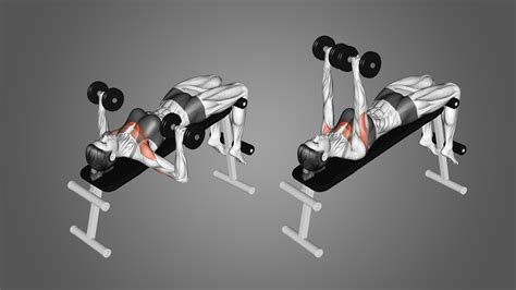 7 Best Dumbbell Bench Press Variations (With Pictures) - Inspire US