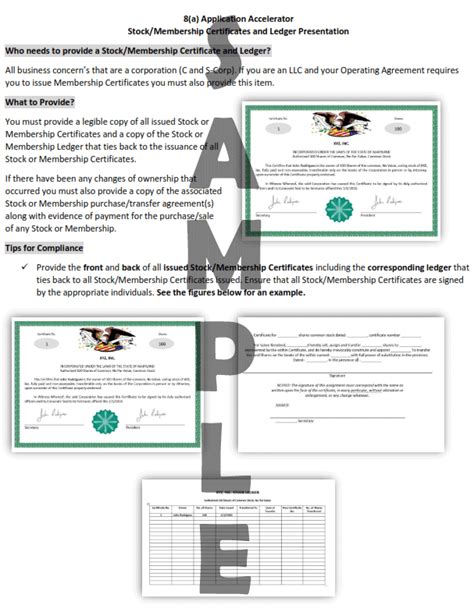 Stock Certificate & Ledger - SBA 8(a), Hubzone and VA VetBiz Program specialists with proven results