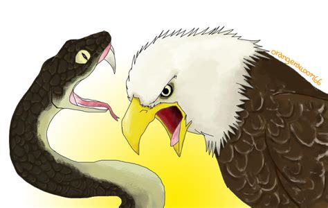 Eagle VS Snake by FancyPancakes on DeviantArt