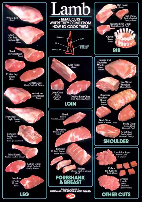 Lamb Meat Cuts Chart