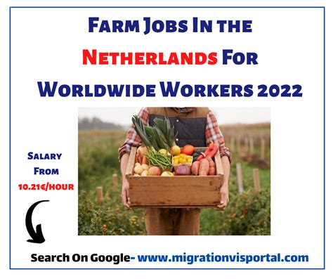 Farm Jobs In the Netherlands For Worldwide Workers 2022