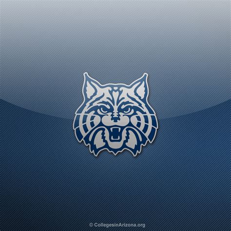 🔥 [50+] Arizona Wildcats Desktop Wallpapers | WallpaperSafari