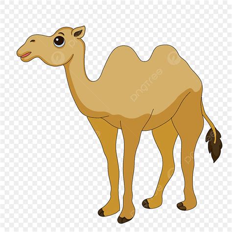 Desert Camel Clipart Transparent PNG Hd, Cute Desert Camel Clip Art, Adorable, Desert, Camel PNG ...