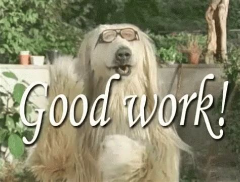 Goodwork Dogs GIF - Goodwork Dogs DogApproved - Discover & Share GIFs