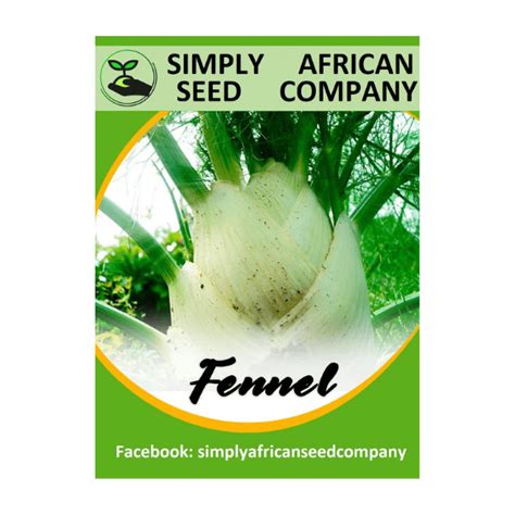 Fennel Seeds – Soulful Herbs & Spices