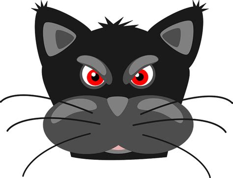 Angry panther face clipart. Free download transparent .PNG | Creazilla