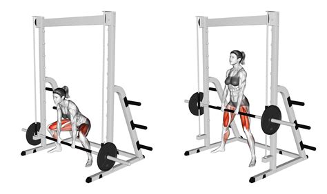 Can You Deadlift on a Smith Machine? Yes, Here's How - Inspire US