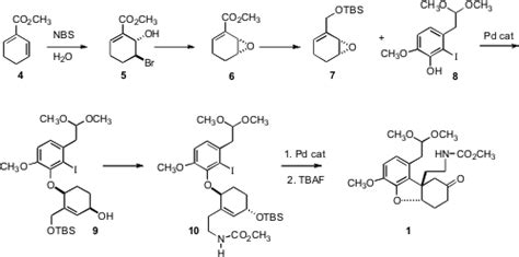 The Fukuyama Synthesis of Morphine