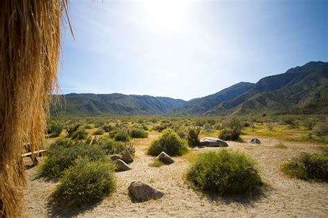 Anza Borrego Desert State Park Visitor Center Pictures | Download Free ...