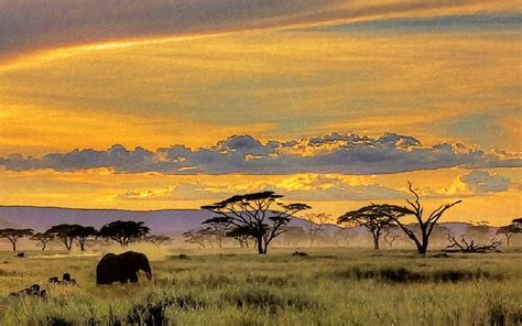 African Safari Wallpaper - WallpaperSafari