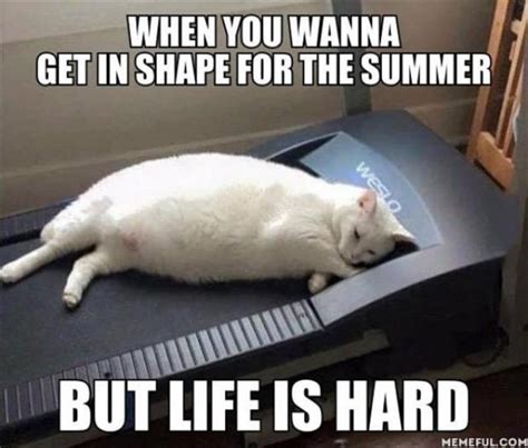 25 Hot And Hilarious Summer Body Meme - SayingImages.com