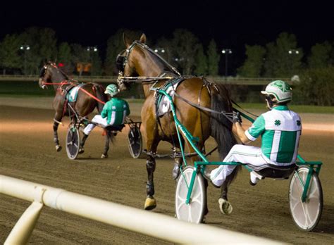 Cal Expo Harness Racing Schedule 2024 - Edythe Vivian