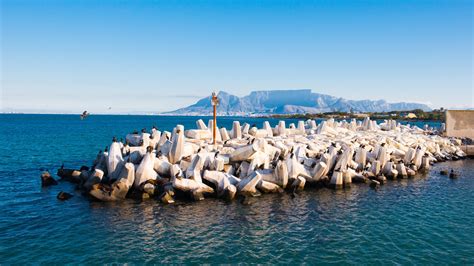 A guide to Robben Island | TravelLocal