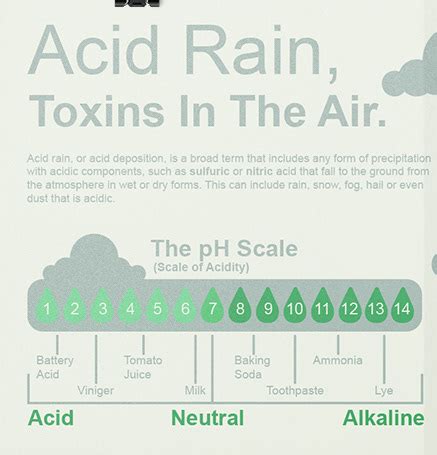 Acid Rain Infographic Poster on Behance