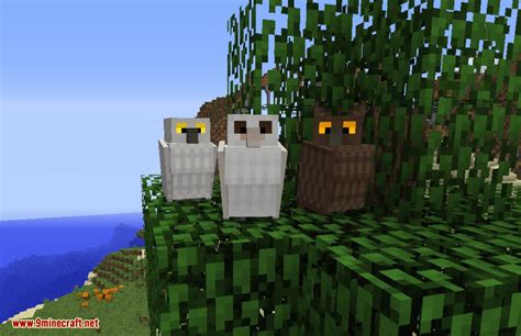 Exotic Birds Mod 1.16.5/1.15.2 (Birds Take Over Minecraft) - 9Minecraft.Net