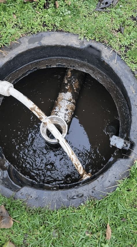 How to Fix Septic System Failure & Prevent it From Happening