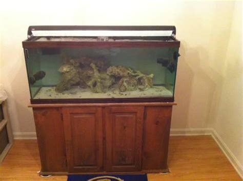 75 Gallon Complete Saltwater Aquarium Setup for Sale in Owings Mills, Maryland Classified ...