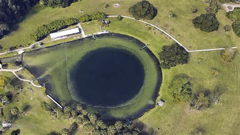 Brains, Bones, and Ponce de Leon: The Strange Story of Florida's Only Natural Hot Spring ...