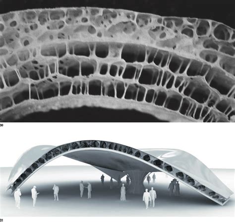 Tectonic Architecture, Biomimicry Architecture, Architecture Concept ...