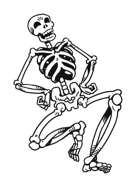 Funny Skeleton Stock Photos, Pictures & Royalty-Free Images - iStock