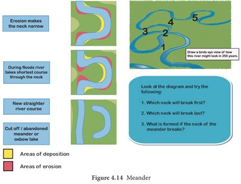 Arcuate Delta Diagram