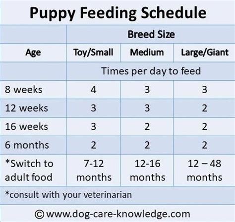 Simple Puppy Feeding Schedule You Absolutely Need | Puppy feeding ...