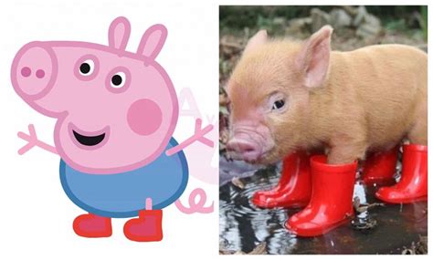 Peppa Pig En la Vida Real – Antes y Después