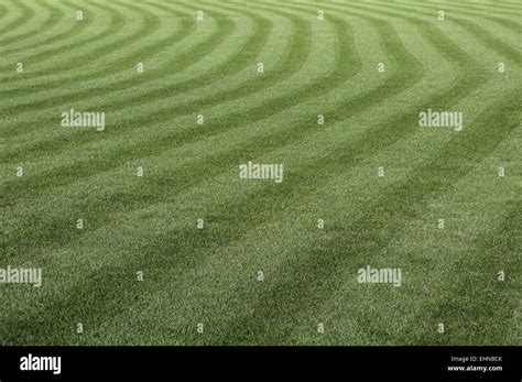 Green grass pattern Stock Photo - Alamy