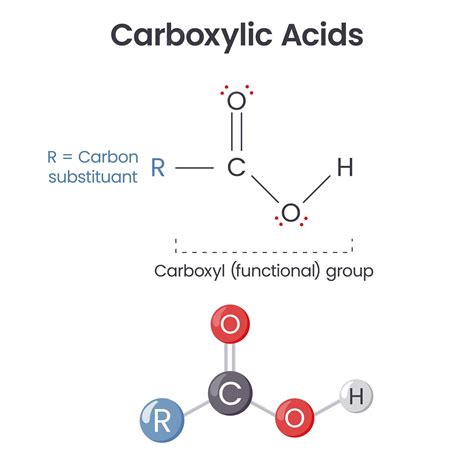 Premium Vector | Carboxylic acid chemical functional group scientific ...