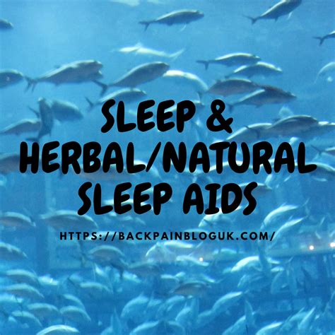 ITS SLEEP SUNDAY – LETS TALK ABOUT SLEEP & HERBAL/NATURAL SLEEP AIDS ...