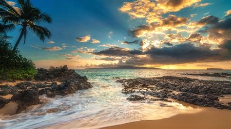 Fonds d'écran Palmiers, mer, nuages, plage, coucher de soleil 1920x1200 HD image