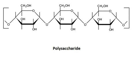 Carbohydrates are made up of polysaccharides which are made up of monosaccharides ...