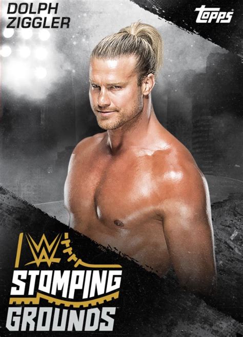 Pin on WWE STOMPING GROUNDS TOPPSSLAM CARDS 2019 | Wwe divas, Wrestling ...