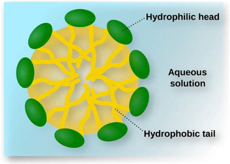 Lyophobic, multimolecular and macromolecular colloids - W3schools