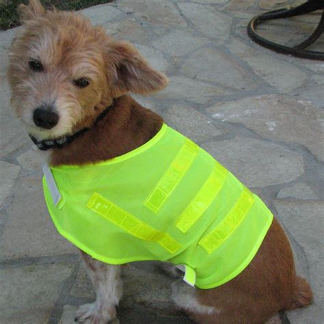 Dog Safety Vest