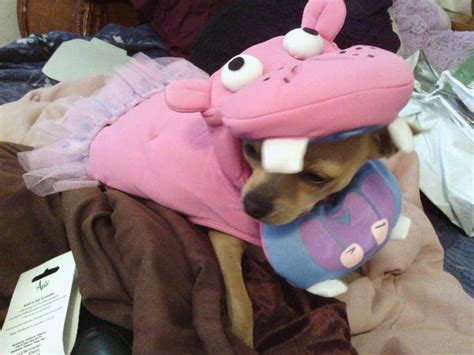 Pink Hippo Dog Costume with Same Day Shipping | BaxterBoo