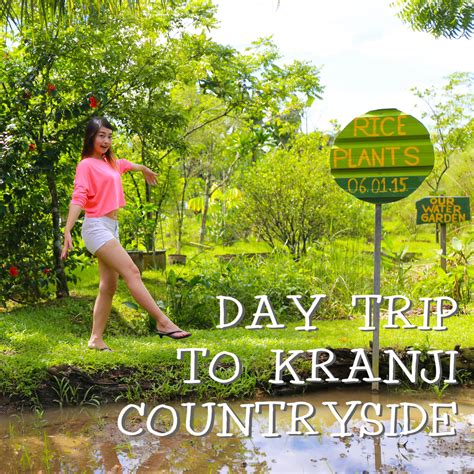 Interesting Green: Weekend trip to Kranji Countryside - Bollywood Veggies Organic Farm