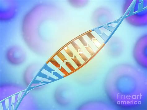 Dna Editing Photograph by Maurizio De Angelis/science Photo Library | Fine Art America