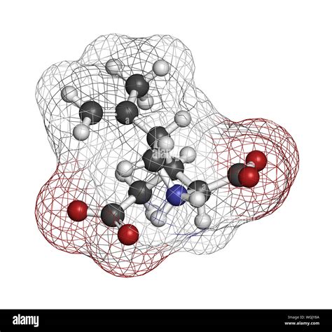 Kainic acid molecule. Direct agonist of the glutamic kainate receptors. 3D rendering. Atoms are ...