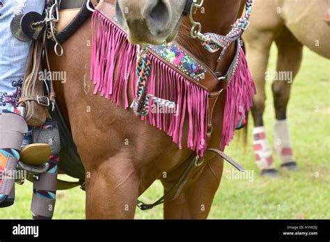 Barrel racing tack hi-res stock photography and images - Alamy