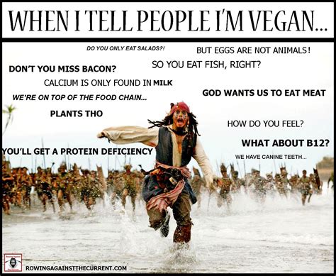 Vegan, Jack Sparrow? Uh huh... | Vegan humor, Funny vegan memes, Vegan memes