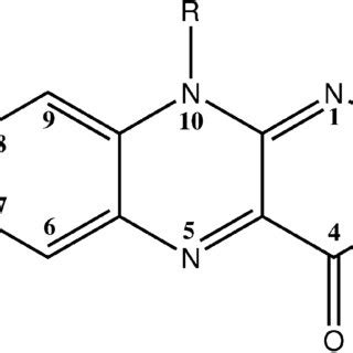 Chemical structure and labeling of flavins. R ) CH 3 , lumiflavin; R )... | Download Scientific ...